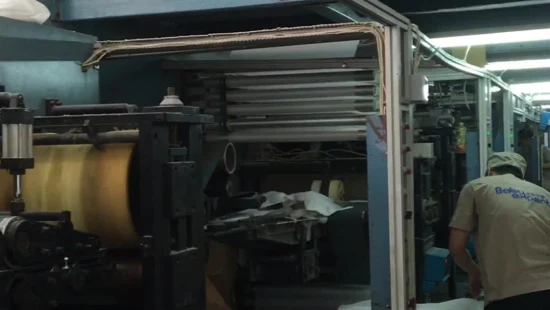 Fabricants de couches pour adultes imprimées jetables OEM en Chine
